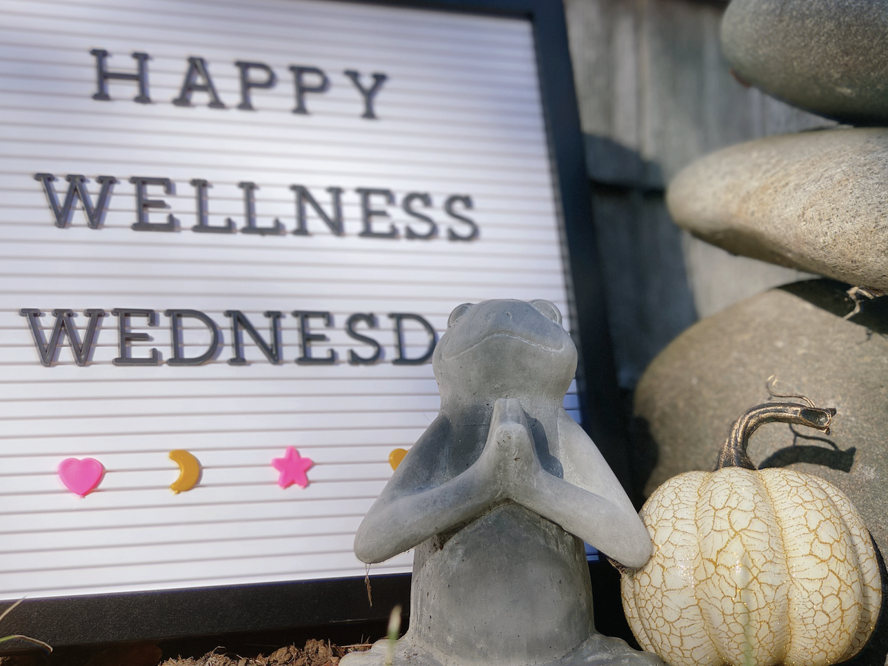Letter Board with Happy Wellness Wednesday and other Fall Decor surrounding it