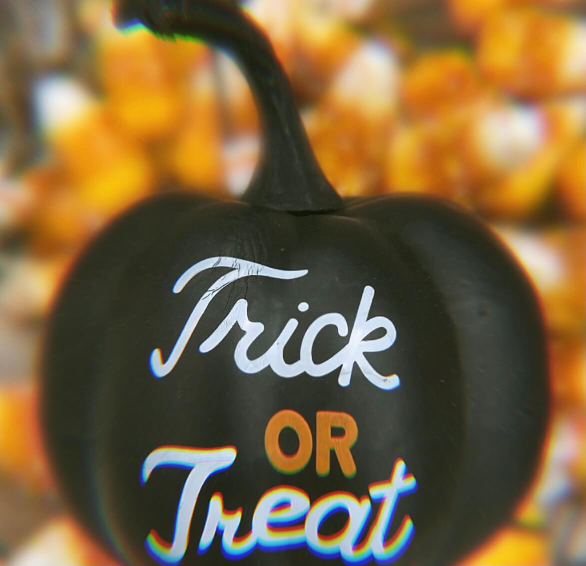 Image of a decorative pumpkin that says trick or treat