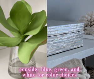 Image of a green plant and blue decor 