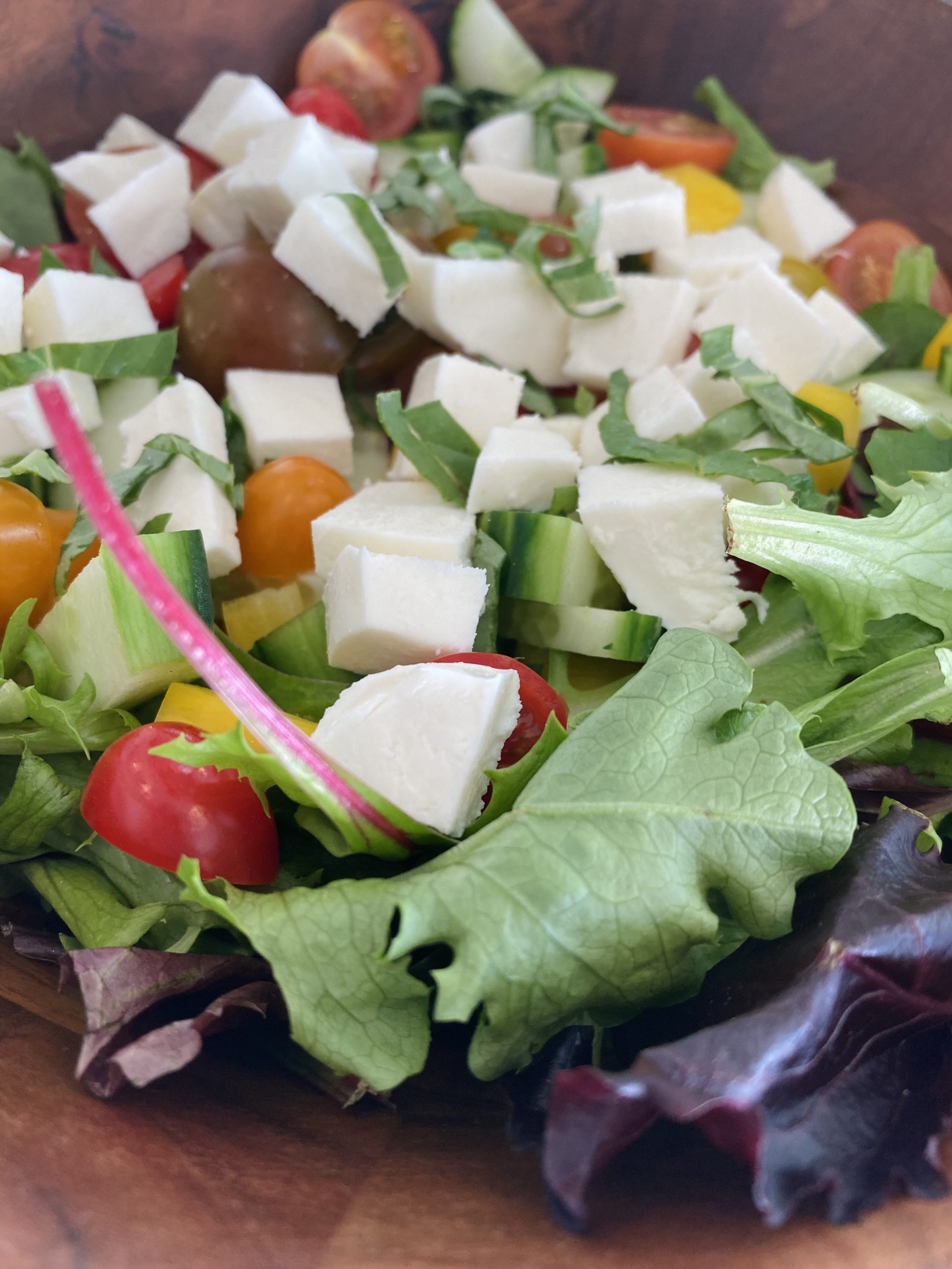 image of caprese salad