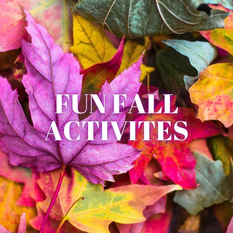 fun-activities-to-do-in-the-fall