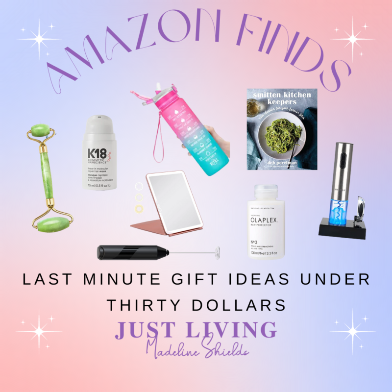 Last Minute Gift Ideas Under Thirty Dollars